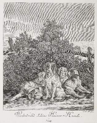Bild Nr.1: 143-4409 Ridinger, Johann Elias: (Künstlergraphik)