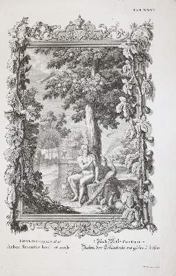 Bild Nr.3: 143-4529 Tardieu, Nicolas-Henri: (Künstlergraphik)