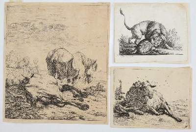 Bild Nr.14: 143-4543 Tiere und Landschaften.: (Künstlergraphik)