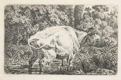 Bild Nr.4: 143-4543 Tiere und Landschaften.: (Künstlergraphik)