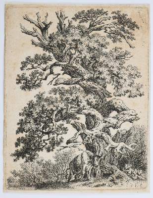 Bild Nr.5: 143-4543 Tiere und Landschaften.: (Künstlergraphik)