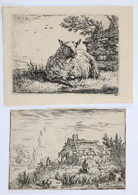 Bild Nr.6: 143-4543 Tiere und Landschaften.: (Künstlergraphik)