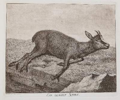 Bild Nr.12: 143-4545 Tischbein, Johann Heinrich: (Künstlergraphik)