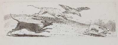Bild Nr.14: 143-4545 Tischbein, Johann Heinrich: (Künstlergraphik)