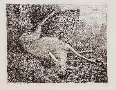 Bild Nr.17: 143-4545 Tischbein, Johann Heinrich: (Künstlergraphik)