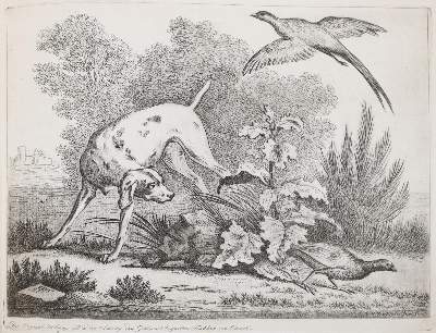 Bild Nr.19: 143-4545 Tischbein, Johann Heinrich: (Künstlergraphik)