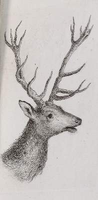 Bild Nr.21: 143-4545 Tischbein, Johann Heinrich: (Künstlergraphik)