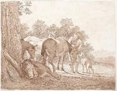 Bild Nr.4: 143-4545 Tischbein, Johann Heinrich: (Künstlergraphik)