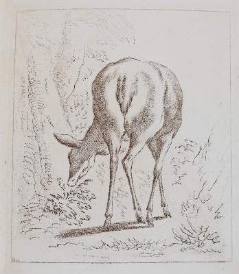 Bild Nr.7: 143-4545 Tischbein, Johann Heinrich: (Künstlergraphik)