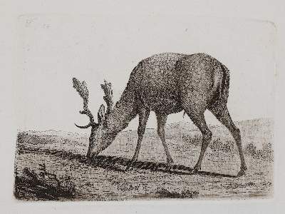 Bild Nr.9: 143-4545 Tischbein, Johann Heinrich: (Künstlergraphik)