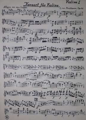 Bild Nr.3: 143-494 Schreinzer,K.: (Musik)
