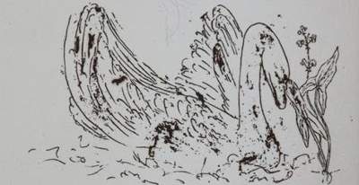 Bild Nr.11: 143-514 Rückgänge: (Varia)