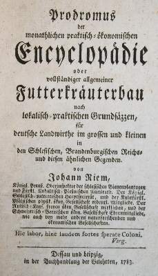 Bild Nr.2: 143-516 Rückgänge.: (Varia)