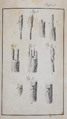 Bild Nr.2: 143-578 Metzger,J.: (Küche und Haushalt, Garten)