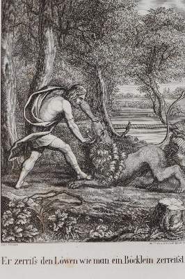 Bild Nr.3: 143-59 Müller,J.C. (Hrsg.).: (Bibeln)