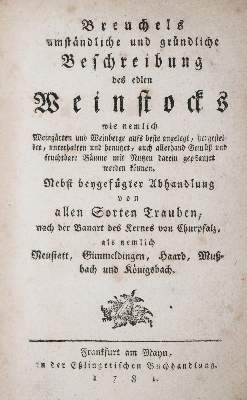 Bild Nr.1: 143-608 Breuchel,P.J.: (Küche und Haushalt, Getränke, Wein)