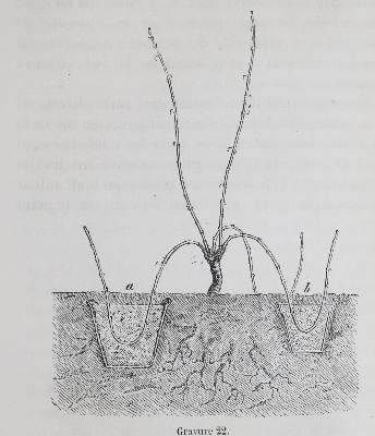 Bild Nr.2: 143-616 Carrierère,E.A.: (Küche und Haushalt, Getränke, Wein)
