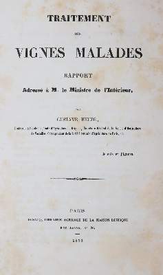 Bild Nr.1: 143-636 Heuze,G.: (Küche und Haushalt, Getränke, Wein)
