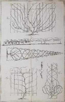 Bild Nr.1: 143-639 Kecht,S.W.: (Küche und Haushalt, Getränke, Wein)