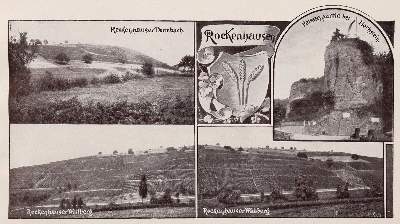 Bild Nr.2: 143-649 Pfälzer Wein.: (Küche und Haushalt, Getränke, Wein)