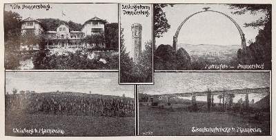 Bild Nr.3: 143-649 Pfälzer Wein.: (Küche und Haushalt, Getränke, Wein)