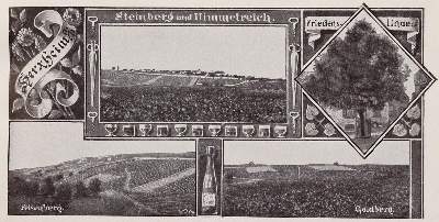 Bild Nr.4: 143-649 Pfälzer Wein.: (Küche und Haushalt, Getränke, Wein)