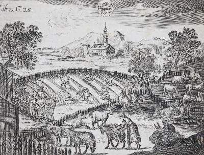 Bild Nr.3: 143-675 Hohberg,W.H.v.: (Küche und Haushalt, Haushalt)