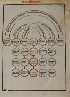 Bild Nr.1: 143-69 Bonifatius VIII.: (Alte Drucke, Handschriften und Theologie)