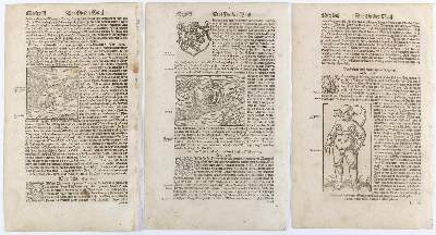 Bild Nr.2: 143-72 Münster, Sebastian: (Buchholzschnitte)