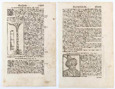 Bild Nr.2: 143-73 Münster, Sebastian: (Buchholzschnitte)
