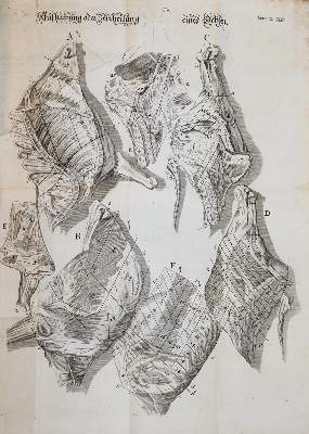 Bild Nr.5: 143-743 (Endter,S.M.).: (Küche und Haushalt, Kochbücher)