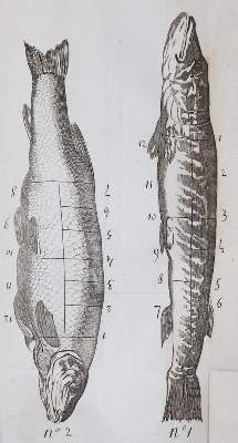 Bild Nr.1: 143-776 (Grimod de la Reyniere,A.B.L.).: (Küche und Haushalt, Kochbücher)