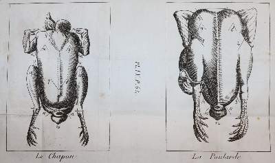 Bild Nr.7: 143-776 (Grimod de la Reyniere,A.B.L.).: (Küche und Haushalt, Kochbücher)