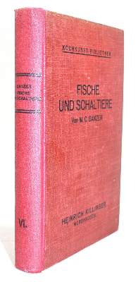 Bild Nr.2: 143-811 Kochkunst-Bibliothek.: (Küche und Haushalt, Kochbücher)
