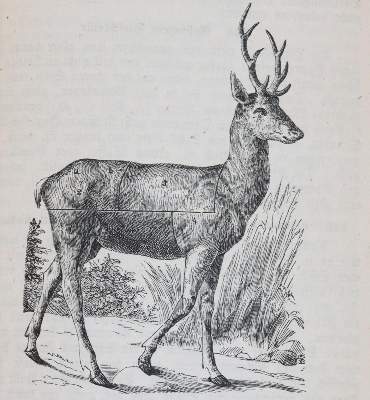 Bild Nr.3: 143-821 Kurth,L.: (Küche und Haushalt, Kochbücher)