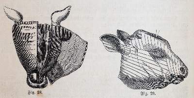 Bild Nr.2: 143-838 Meixner,M.E.: (Küche und Haushalt, Kochbücher)