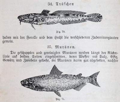Bild Nr.4: 143-838 Meixner,M.E.: (Küche und Haushalt, Kochbücher)
