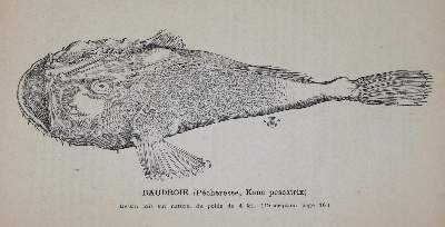 Bild Nr.2: 143-850 Morard,M.: (Küche und Haushalt, Kochbücher)