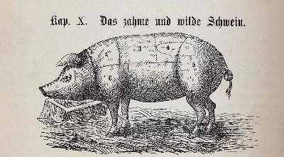Bild Nr.4: 143-853 Naumann,L.: (Küche und Haushalt, Kochbücher)