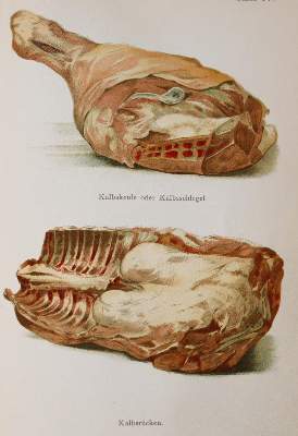 Bild Nr.4: 143-854 Neudecker,M.A.: (Küche und Haushalt, Kochbücher)