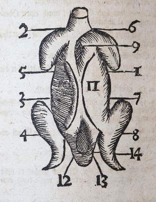 Bild Nr.3: 143-858 Neues wohl eingerichtetes Koch-Buch,: (Küche und Haushalt, Kochbücher)