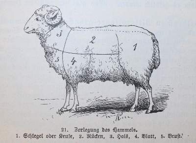 Bild Nr.3: 143-900 Sammlung: (Küche und Haushalt, Kochbücher)