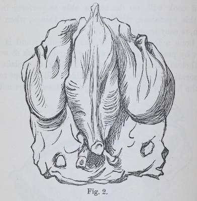 Bild Nr.2: 143-907 Sammlung: (Küche und Haushalt, Kochbücher)