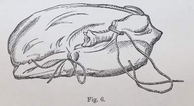 Bild Nr.3: 143-907 Sammlung: (Küche und Haushalt, Kochbücher)