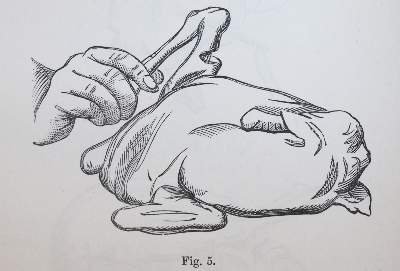 Bild Nr.4: 143-907 Sammlung: (Küche und Haushalt, Kochbücher)