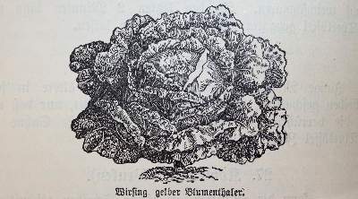 Bild Nr.4: 143-922 Schlienbecker,W.: (Küche und Haushalt, Kochbücher)