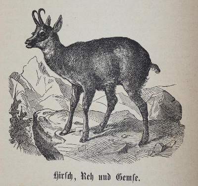 Bild Nr.3: 143-940 Zundel,H. u. C.Kriesi.: (Küche und Haushalt, Kochbücher, Schweiz)