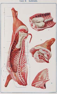 Bild Nr.4: 143-944 Speth,A.: (Küche und Haushalt, Kochbücher)