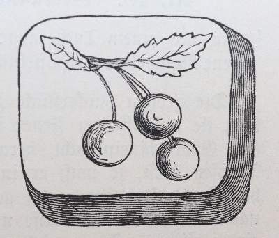 Bild Nr.3: 143-966 Wehrfritz,M. u. F.: (Küche und Haushalt, Kochbücher)