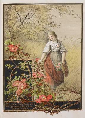 Bild Nr.2: 143-981 W(oringen),A.v.: (Küche und Haushalt, Kochbücher)